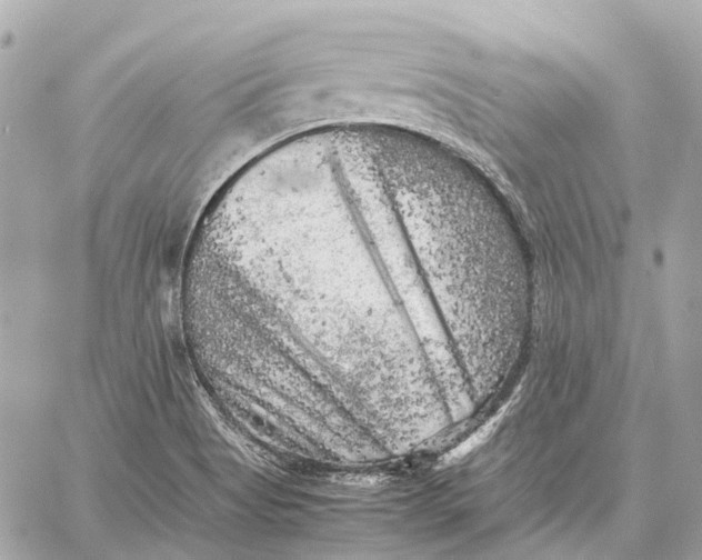 X0000059231513200511041228