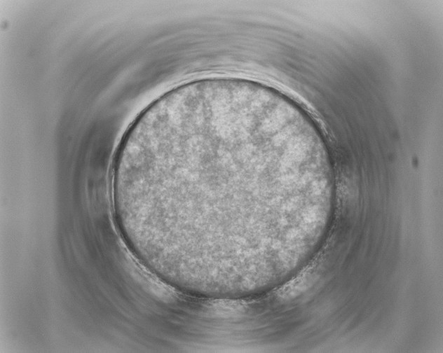 X0000059231514200511041228