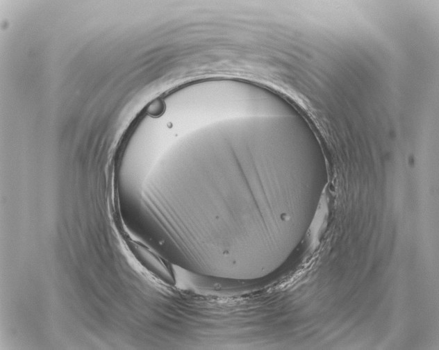 X0000059231515200511041228