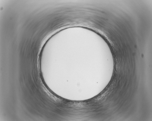 X0000059231516200511041228