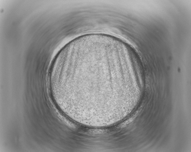 X0000059231517200511041228