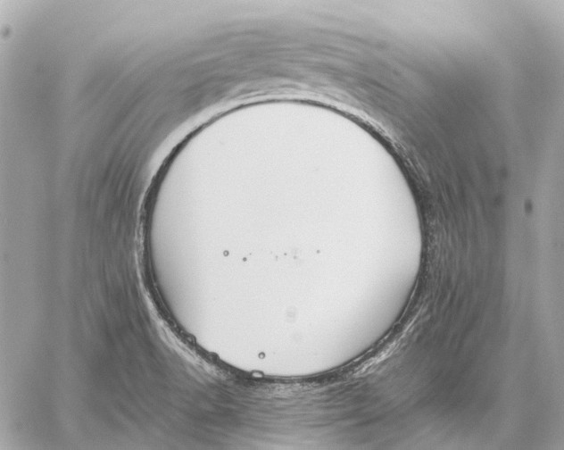 X0000059231518200511041228