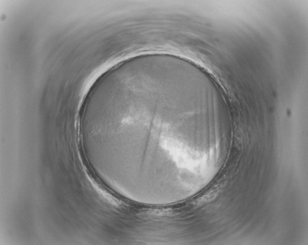 X0000059231519200511041228