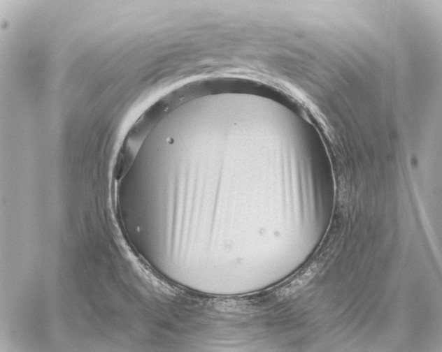 X0000059231520200511041228