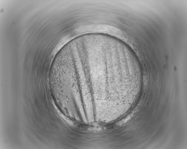 X0000059231521200511041228