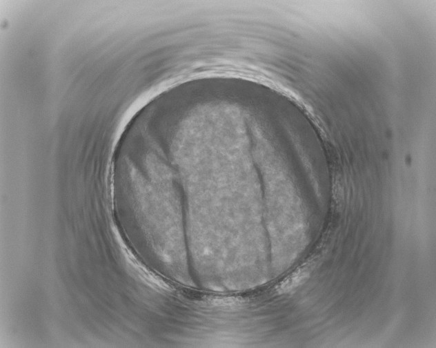 X0000059231522200511041228