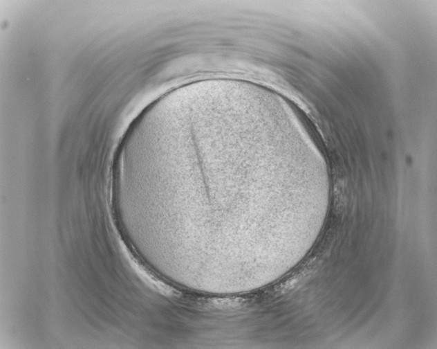 X0000059231523200511041228