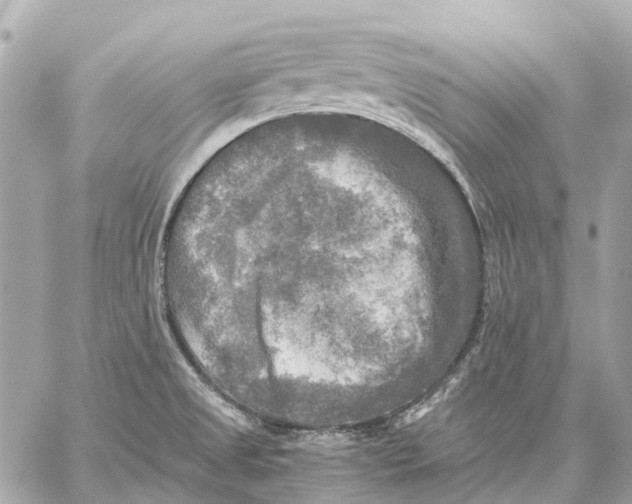 X0000059231525200511041228