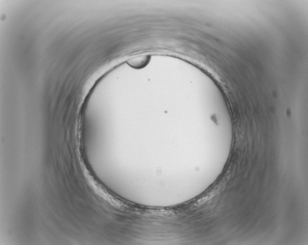 X0000059231526200511041228