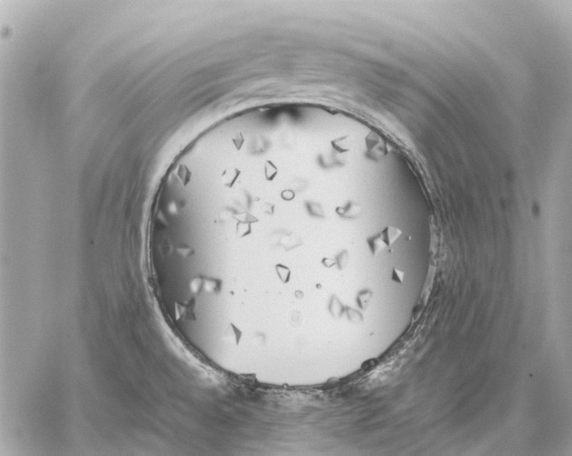 X0000059231528200511041228