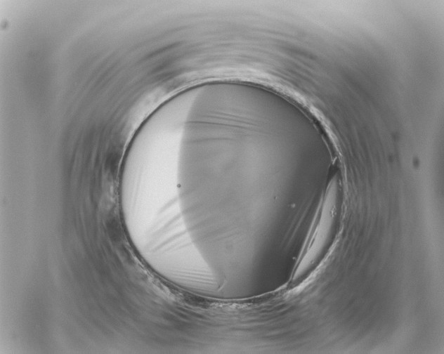 X0000059231529200511041229