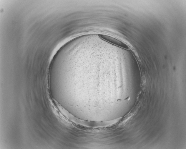 X0000059231530200511041229