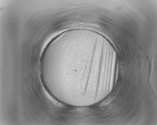 X0000059231531200511041229