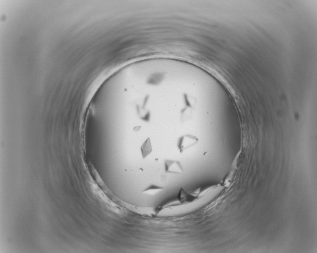 X0000059231532200511041229