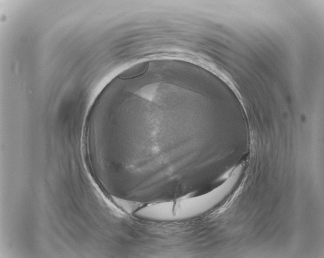 X0000059231533200511041229