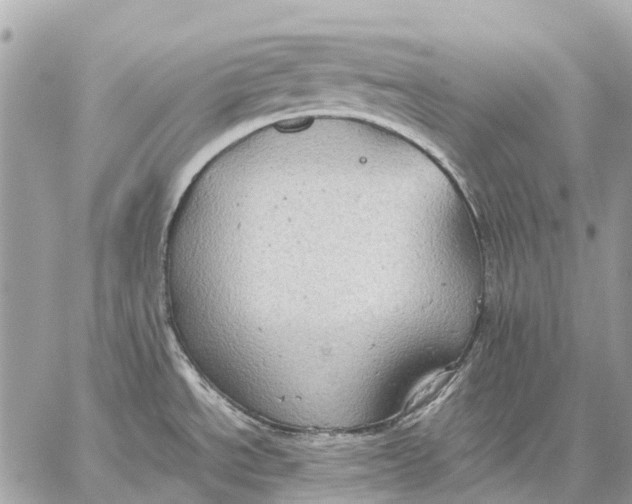 X0000059231534200511041229