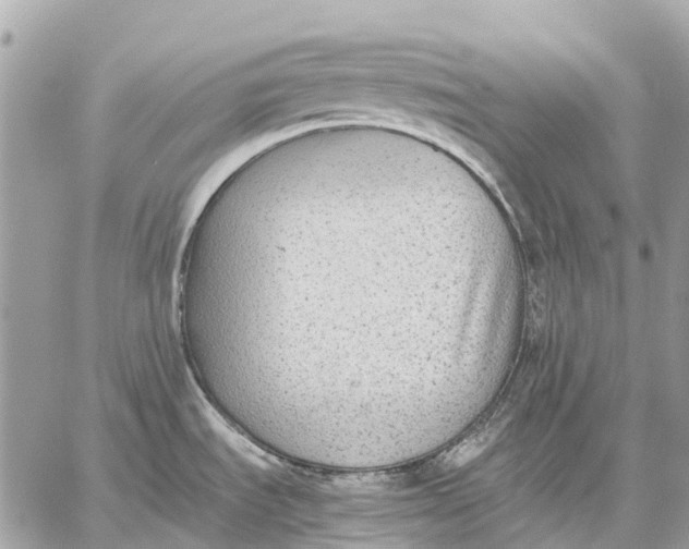 X0000059231535200511041229