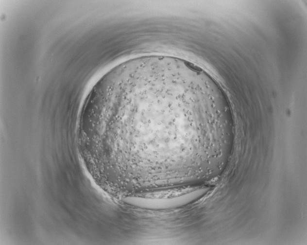 X0000059231536200511041229