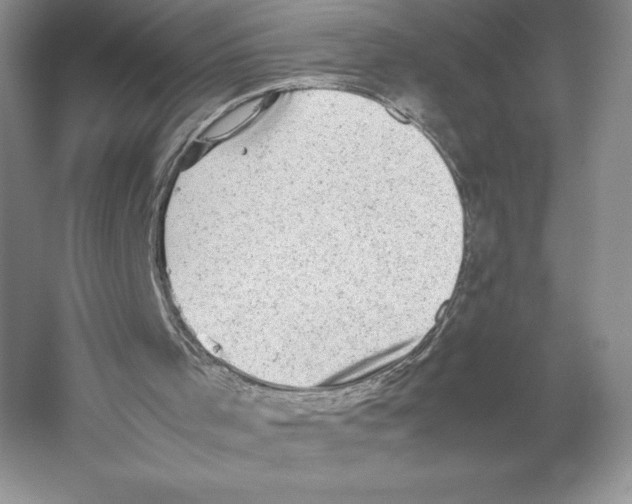 X0000059230001200511111601