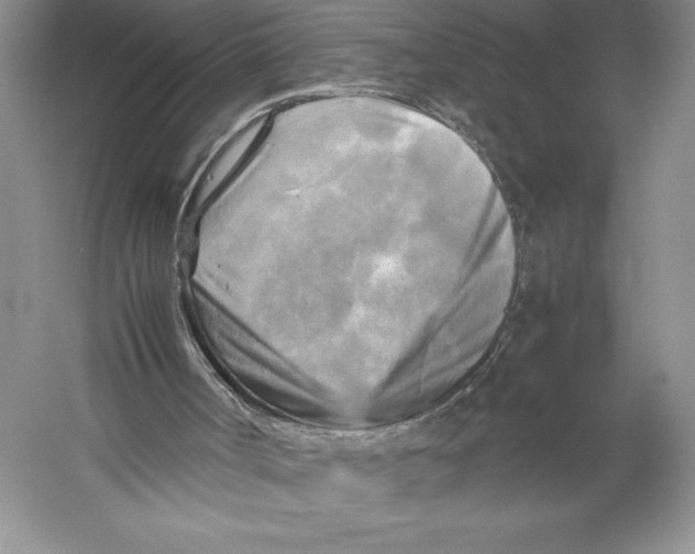 X0000059230002200511111601