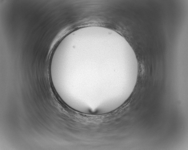 X0000059230004200511111601