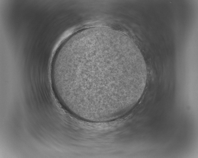 X0000059230006200511111601