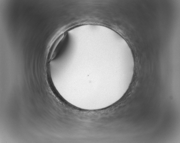 X0000059230007200511111601