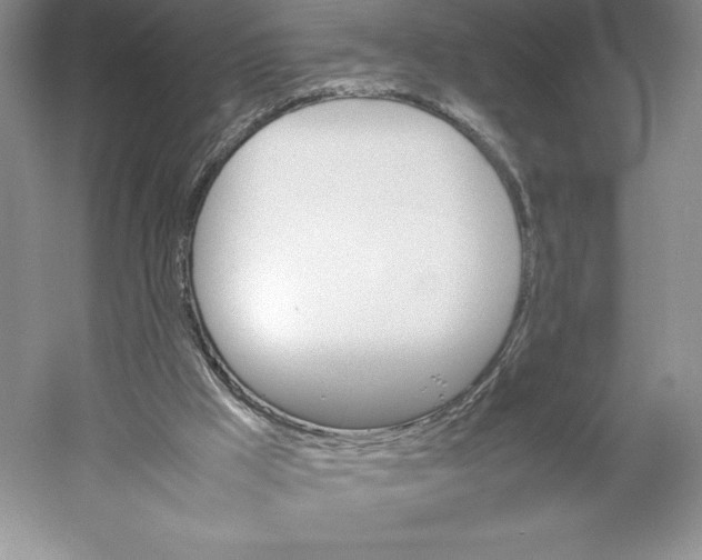 X0000059230009200511111601