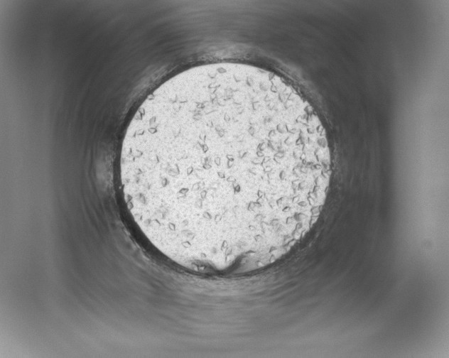 X0000059230010200511111601