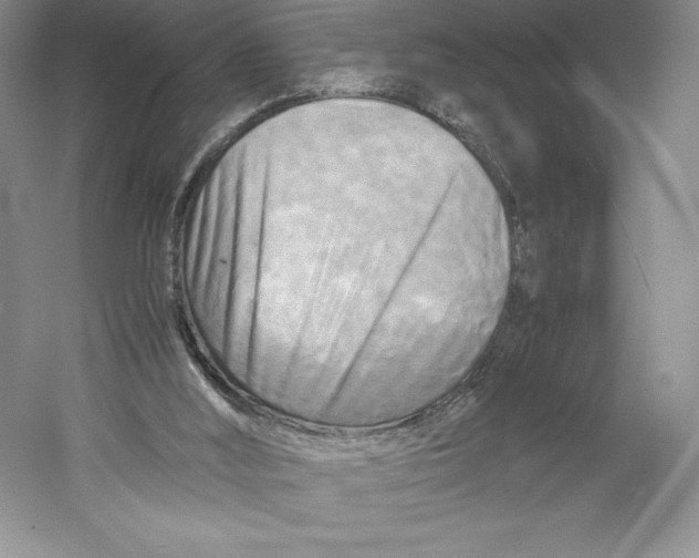 X0000059230012200511111601