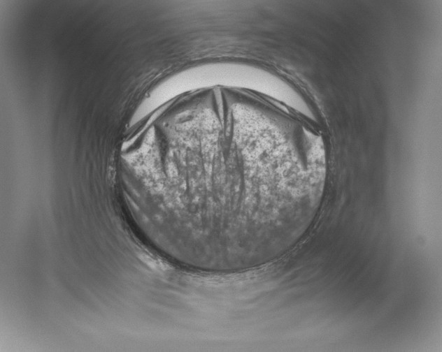 X0000059230017200511111600