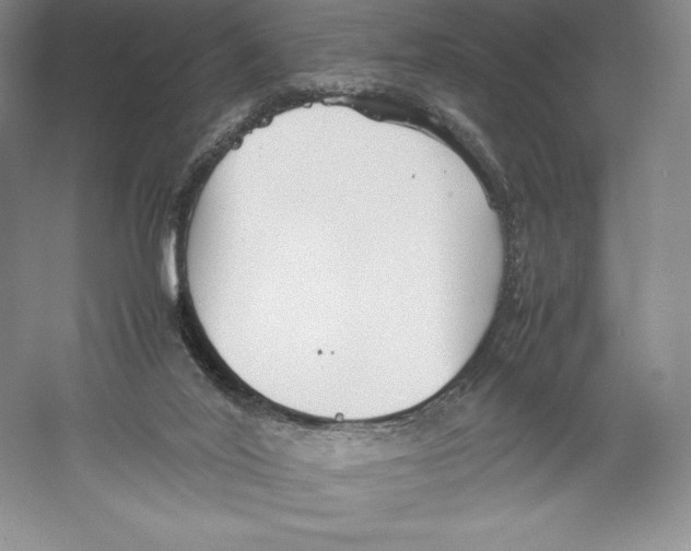 X0000059230020200511111600