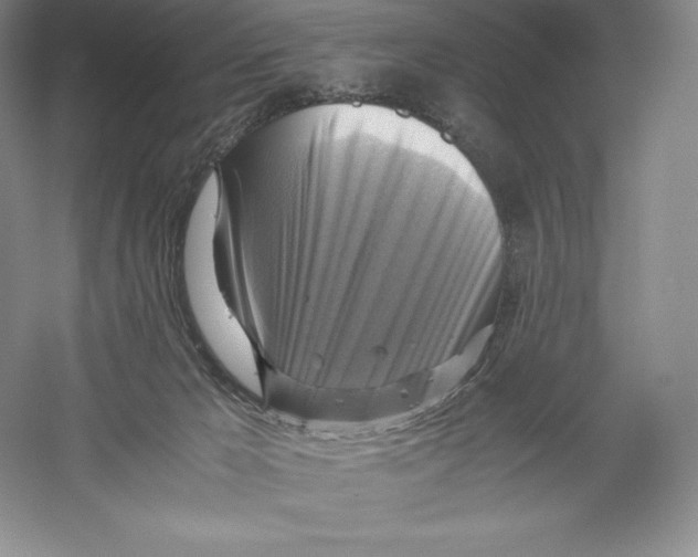 X0000059230029200511111600