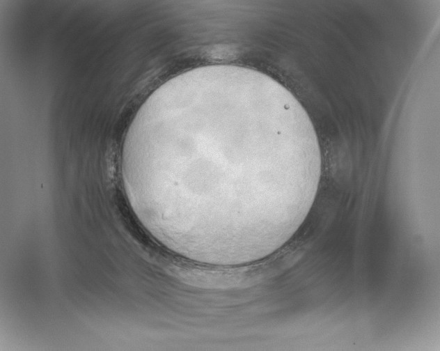 X0000059230032200511111600