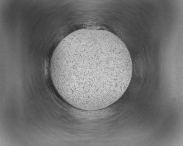 X0000059230038200511111600