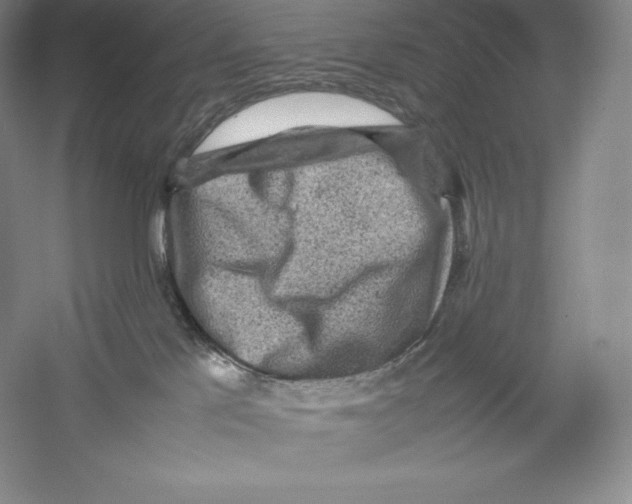 X0000059230041200511111600