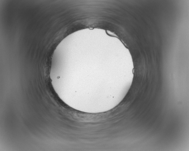 X0000059230044200511111600