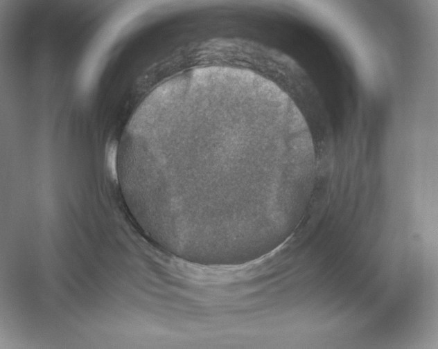 X0000059230047200511111600