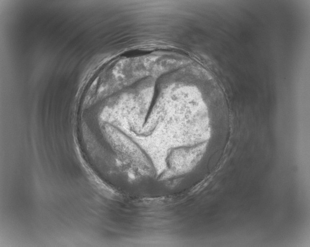 X0000059230049200511111559