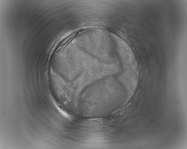 X0000059230050200511111559