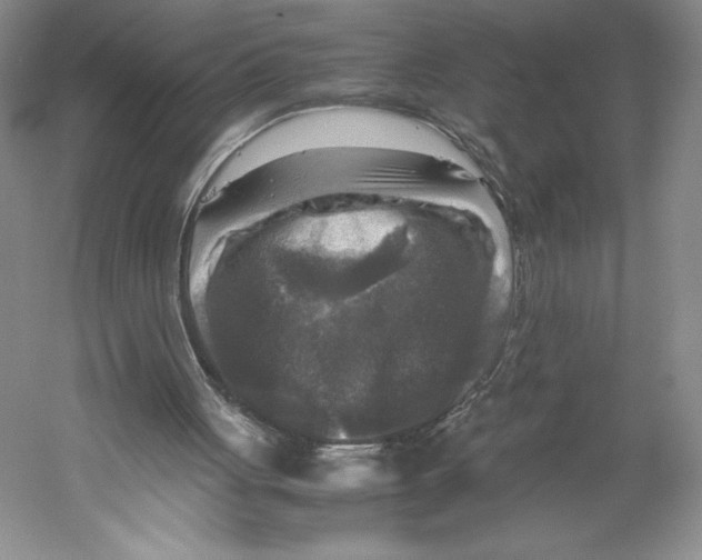 X0000059230051200511111559