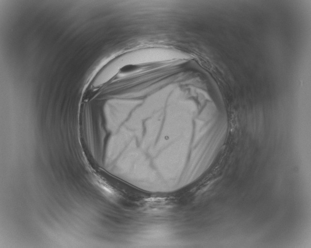 X0000059230052200511111559