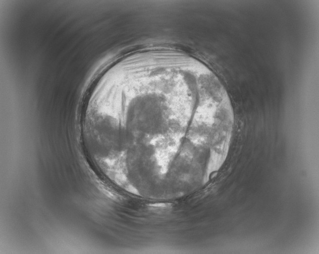 X0000059230053200511111559