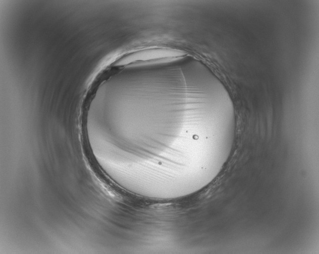 X0000059230054200511111559