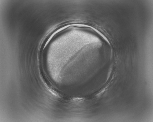 X0000059230055200511111559