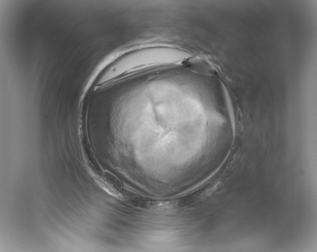 X0000059230056200511111559