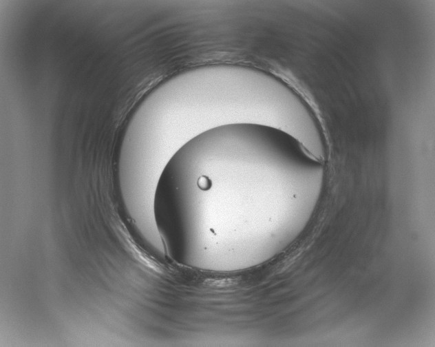 X0000059230057200511111559