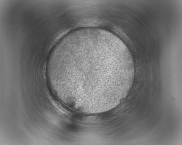 X0000059230058200511111559