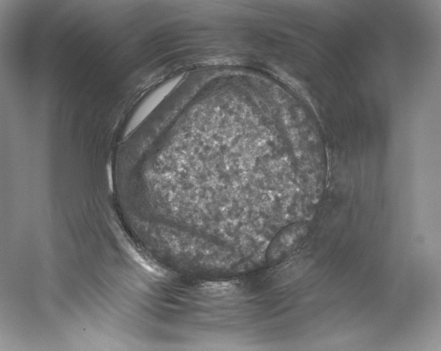 X0000059230061200511111559