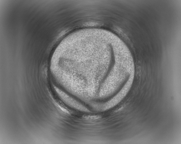 X0000059230063200511111559